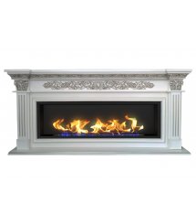 Биокамин в линейном портале Даррен (ZeFire)